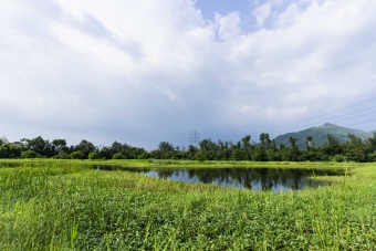 Yuen Long Bypass Floodway Engineered Wetland
