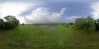元朗排水繞道人工濕地 (360度全景圖)