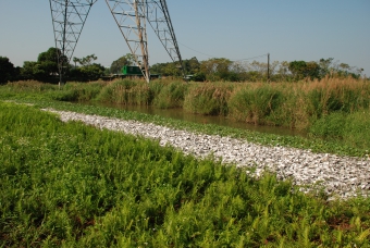 Yuen Long Bypass Floodway Engineered Wetland