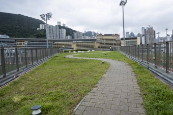 Green Roof of the Pump House