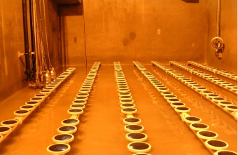 順序分批式反應器缸