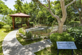 昂坪污水處理廠魚池