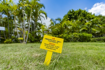 昂坪污水處理廠使用再造水作為點滴灌溉之用