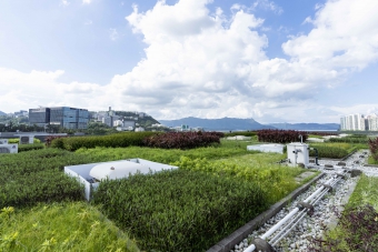 沙田污水處理廠的綠化天台