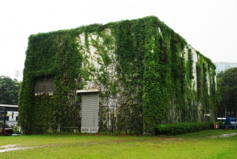 大坑東蓄洪池泵房垂直綠化