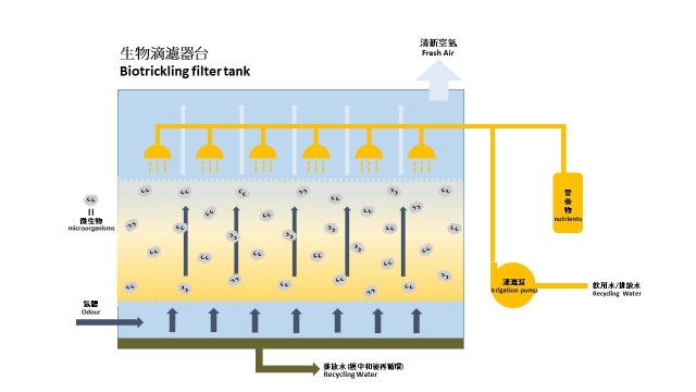 Boitrickling filter tank