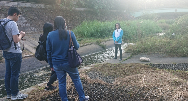 叶沛玑女士向记者介绍下林村河的生态改善元素