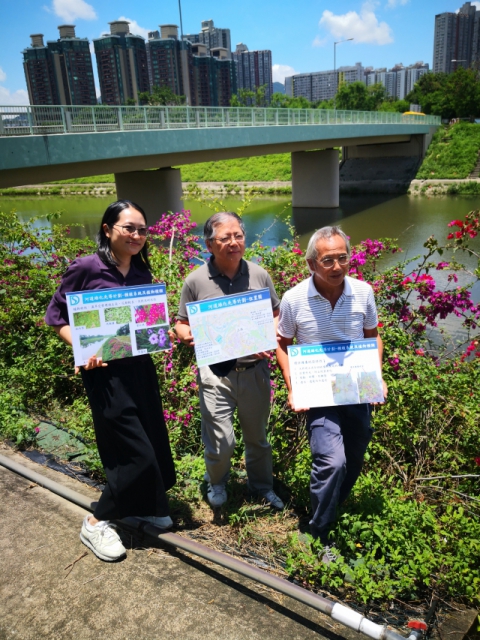 渠務署工程師譚傑帆先生(中)及葉婉儀女士(左)向記者介紹河道綠化先導計劃的細節
