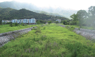 梅窩鹿地塘排水繞道及鹿地塘河的交匯處建有堤堰，供水生生物棲息，並給予雀鳥覓食及休息的空間