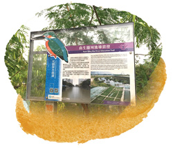 導賞徑的資訊板