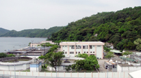 西貢污水處理廠