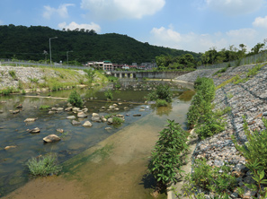 林村河