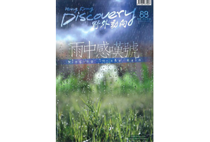 《野外動向》刊載專題文章「雨城•香港－(II)跑馬地的秘密：兩水暫駐地」