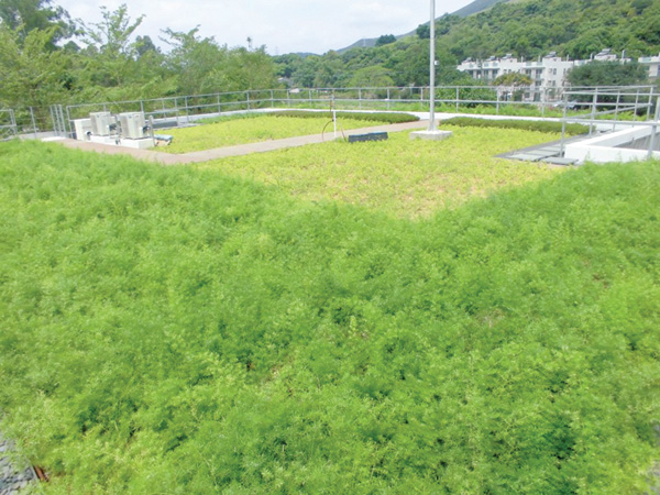 石涌凹污水泵房