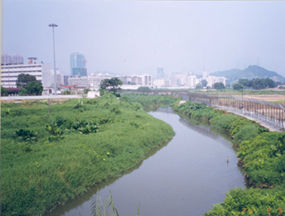 文锦渡桥上游
