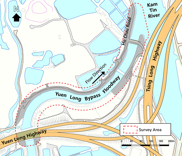 Developed Area