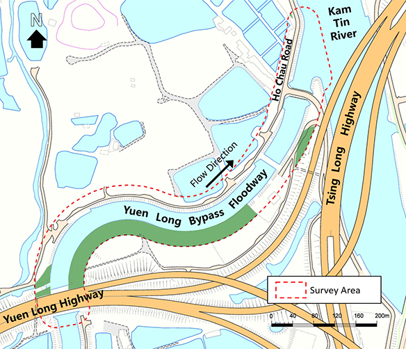 Wooded Area