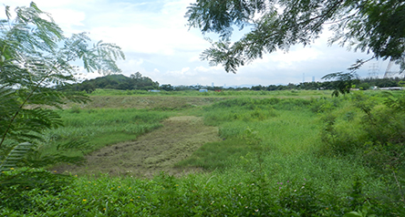 Yuen Long Bypass Floodway