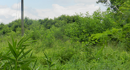 Yuen Long Bypass Floodway