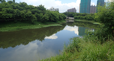 Yuen Long Bypass Floodway
