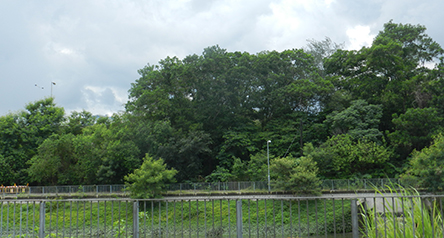 Yuen Long Bypass Floodway
