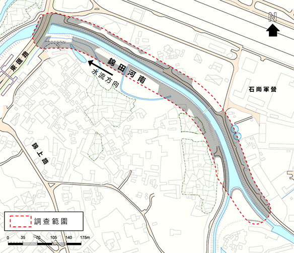 已發展地區