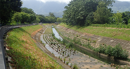 Kam Tin River South