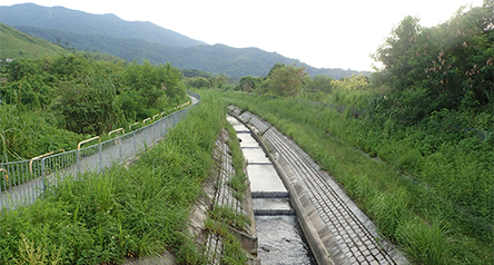 Ping Kong Stream