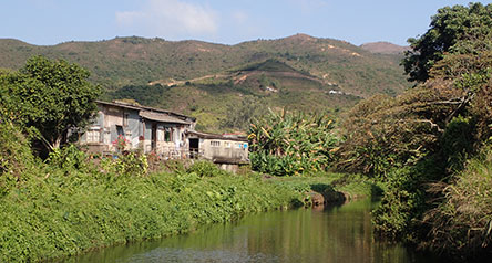 Pak Ngan Heung Stream