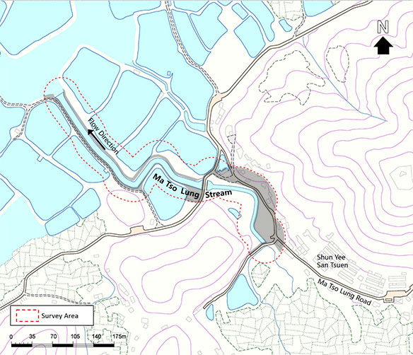 Developed Area