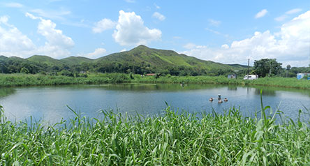 Ma Tso Lung Stream