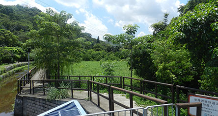 Ma Tso Lung Stream