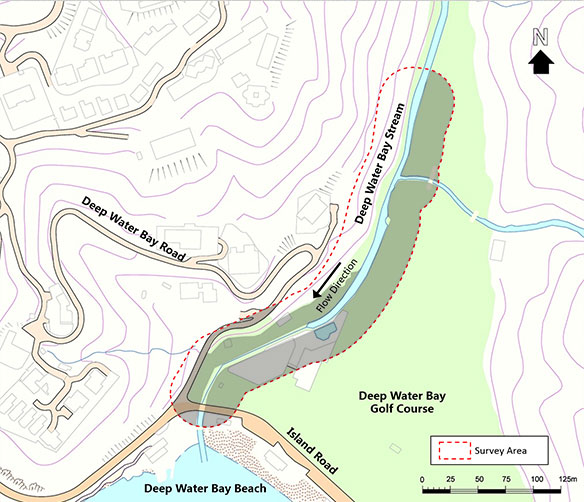 Developed Area