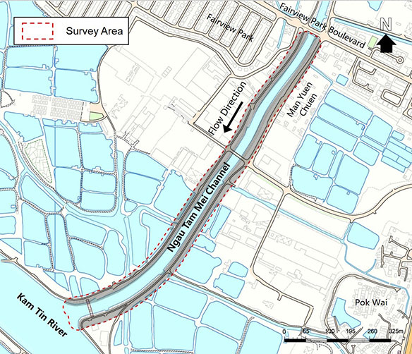Developed Area