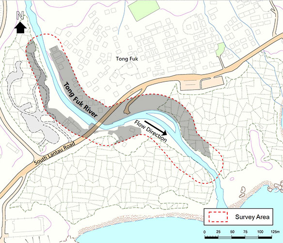 Developed Area