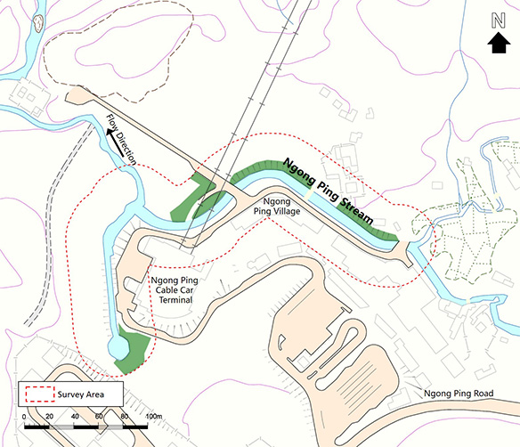 Wooded Area