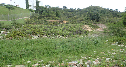 Ngong Ping Stream