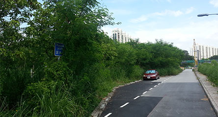 麻笏河