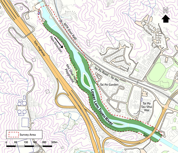 Wooded Area