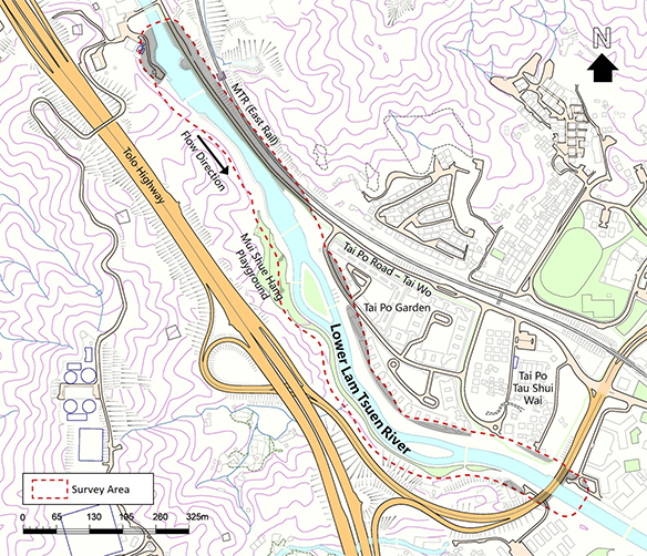 Developed Area