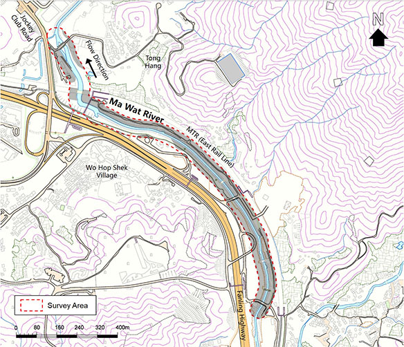 Developed Area