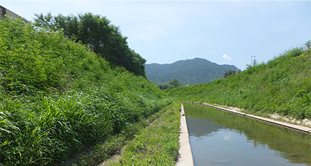 麻笏河