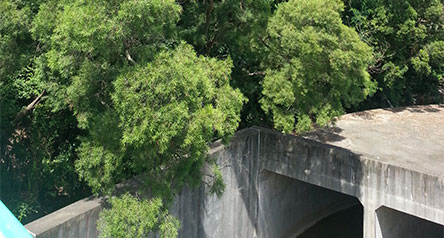 麻笏河