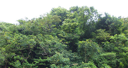 Wong Lung Hang Channel