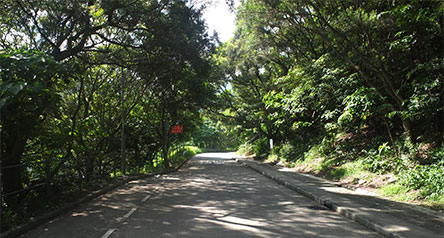 Wong Lung Hang Channel