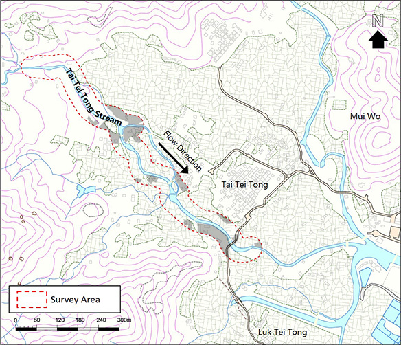 Developed Area