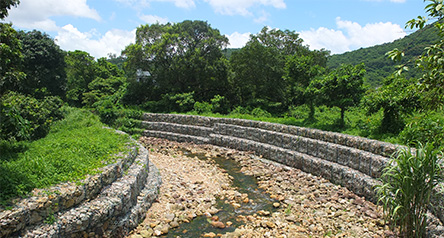 Tai Tei Tong Stream