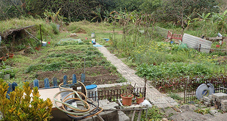 Tai Tei Tong Stream