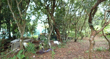 Tai Tei Tong Stream