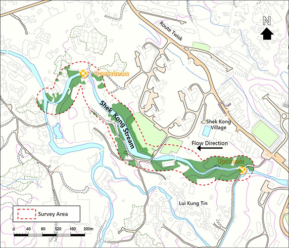Wooded Area